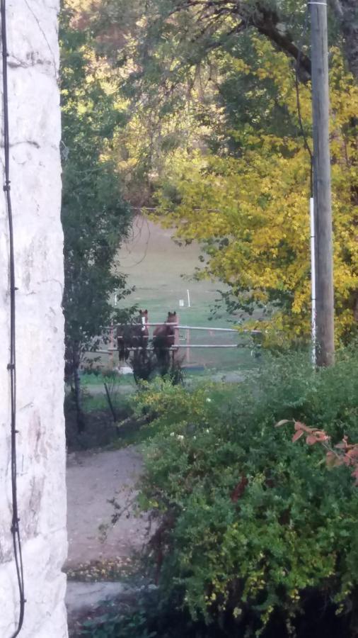 Le Moulin Des Cavaliers Panzió La Rouquette Kültér fotó