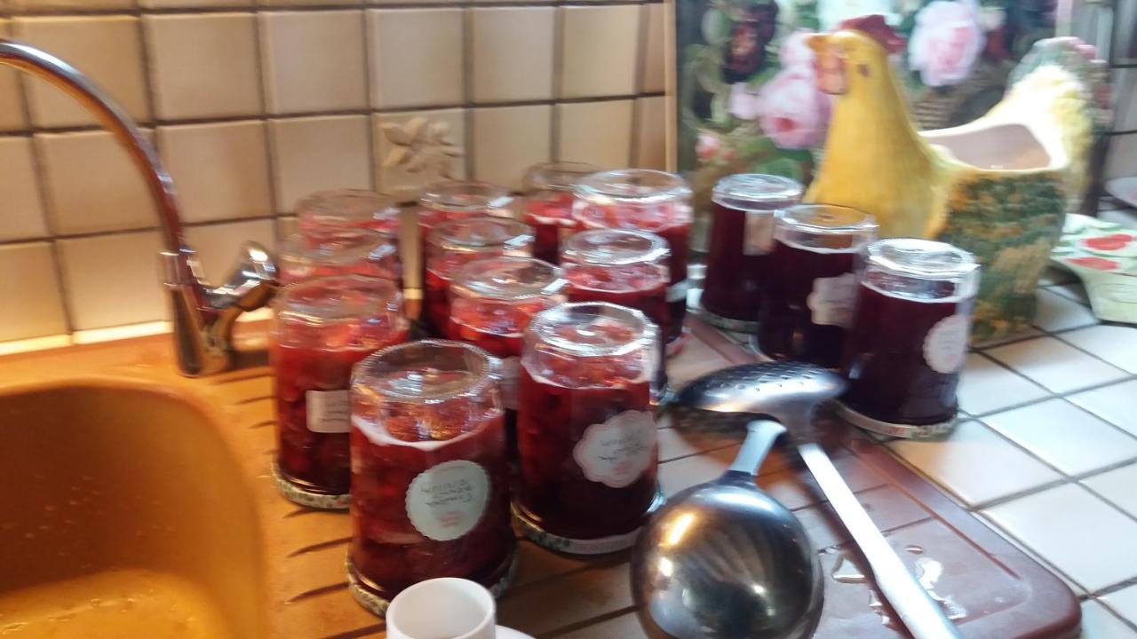 Le Moulin Des Cavaliers Panzió La Rouquette Kültér fotó